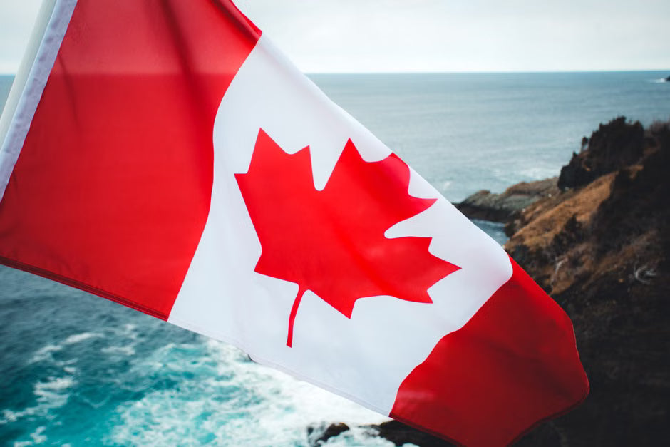 How to Choose an Atlantic Canada Pearl Expert for Restoration and Care