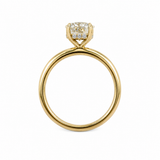14K Yellow Gold 2.56CTW Round Brilliant Diamond Solitaire with Hidden Halo